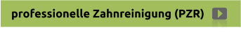 professionelle Zahnreinigung (PZR)