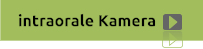 intraorale Kamera