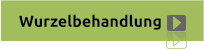 Wurzelbehandlung
