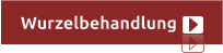 Wurzelbehandlung