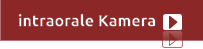 intraorale Kamera